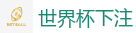 世界杯博彩_2026世界杯(FIFA WorldCUP)中国竞彩指定平台